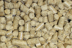 Winestead biomass boiler costs